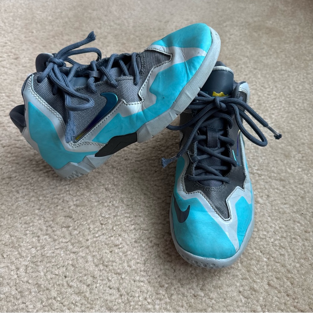 Nike LeBron Basketball Shoes